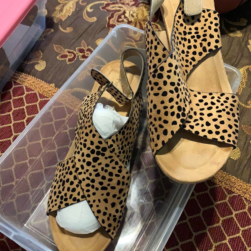 Pierre Dumas Shoes